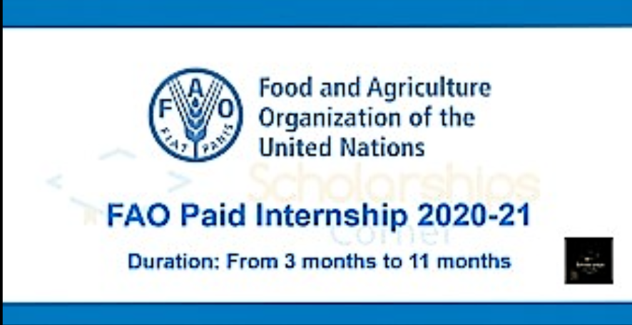 Food and Agriculture Organization (FAO) RAF Internship